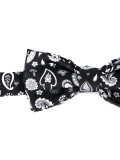paisley print bow tie