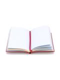 'Consistently inconsistent' notebook