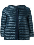 collarless down jacket