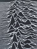 'Joy Division'图案套头衫