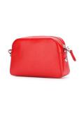 lion pin crossbody bag