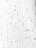 textured panel shortsleeved T-shirt
