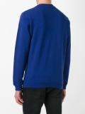 Floating Lions sweatshirt