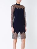 sheer lace panel cocktail dress