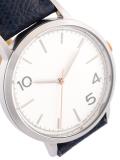stainless steal dial watch 