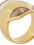 'Mastic' ring