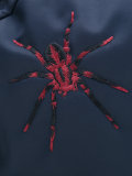 embroidered spider backpack