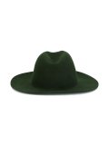wide brim hat