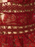 sheer floral lace mini dress