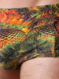 printed swim trunks