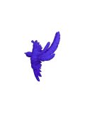 bird earrings