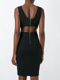 rear cut out detail fitted dress