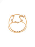 aquarius constellation ring