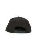 swallow embroidered cap