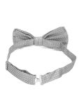 dotted bow tie