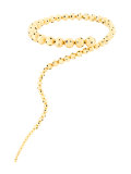 Glaucus necklace