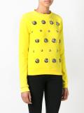 Floating Lion sweatshirt