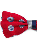 Pajarita bow tie
