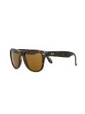 'Wayfarer' sunglasses