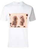 engravings print T-shirt