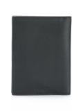dinosaur print passport case