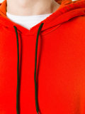 plain hoodie 