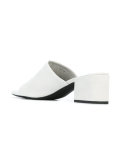 Ray mules 