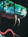 'Snake'印花连帽衫