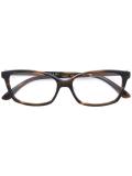 'Fauve' glasses