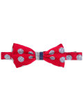 Pajarita bow tie