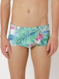 printed swim trunks