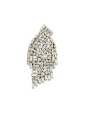 embellished brooch
