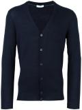 v-neck cardigan