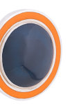 oval earrings