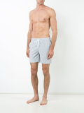 striped Charles trunks
