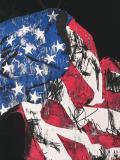 美国旗帜套头衫