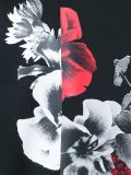 花叶印花套头衫