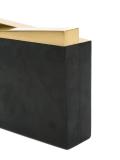 'Phoenix' clutch