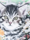 猫印花T恤