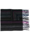 striped frayed hem scarf