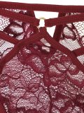 lace panel briefs