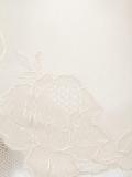 lace insert boxers