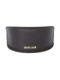 Mizar sunglasses 