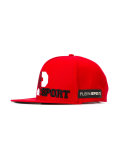 tiger embroidered cap