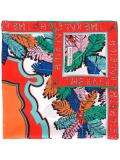 printed scarf