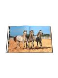 Arabian Horses book