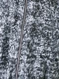 '3D Snow Noise'飞行员夹克