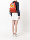 Sunset scene backpack