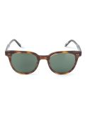 'Angelus'玳瑁纹wayfarer太阳眼镜