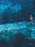 Deep Sea print T-shirt